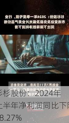 杉杉股份：2024年上半年净利润同比下降98.27%