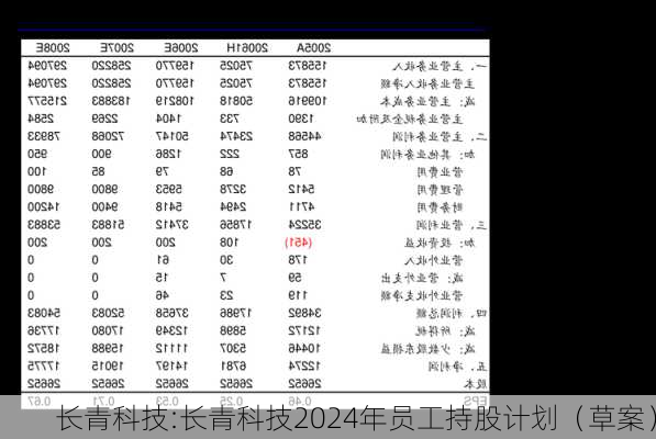 长青科技:长青科技2024年员工持股计划（草案）