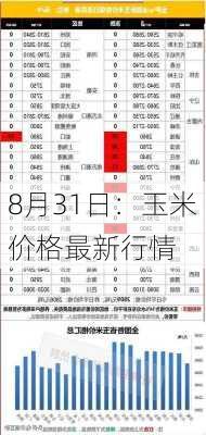 8月31日：玉米价格最新行情