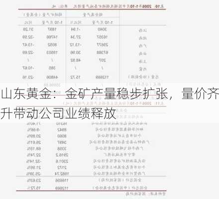 山东黄金：金矿产量稳步扩张，量价齐升带动公司业绩释放