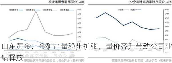 山东黄金：金矿产量稳步扩张，量价齐升带动公司业绩释放