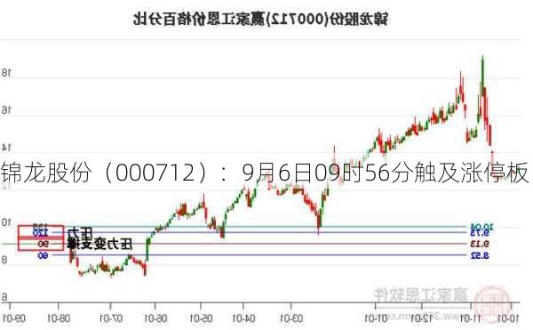 锦龙股份（000712）：9月6日09时56分触及涨停板