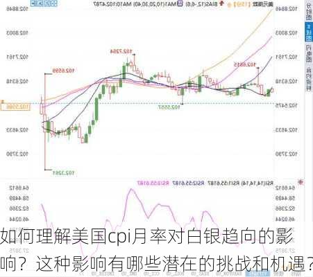 如何理解美国cpi月率对白银趋向的影响？这种影响有哪些潜在的挑战和机遇？