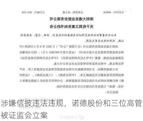 涉嫌信披违法违规，诺德股份和三位高管被证监会立案