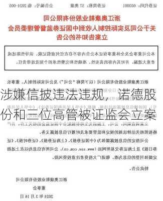 涉嫌信披违法违规，诺德股份和三位高管被证监会立案