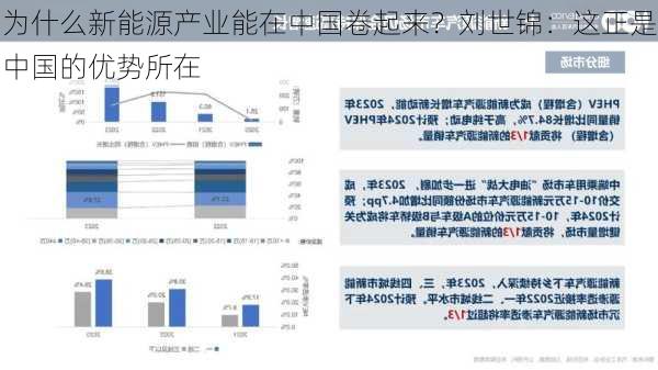 为什么新能源产业能在中国卷起来？刘世锦：这正是中国的优势所在