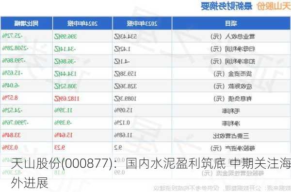 天山股份(000877)：国内水泥盈利筑底 中期关注海外进展