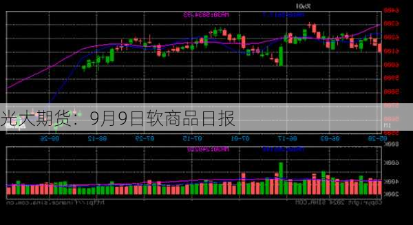 光大期货：9月9日软商品日报