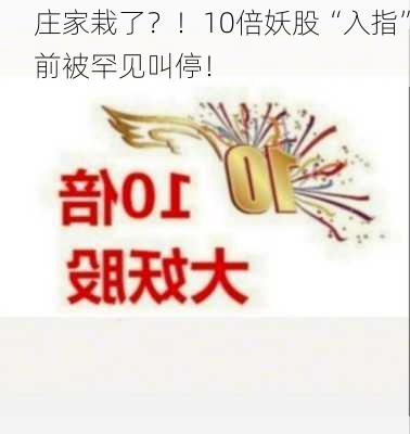 庄家栽了？！10倍妖股“入指”前被罕见叫停！