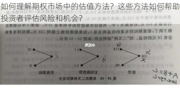 如何理解期权市场中的估值方法？这些方法如何帮助投资者评估风险和机会？