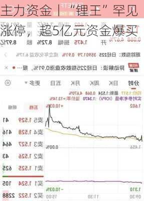 主力资金丨“锂王”罕见涨停，超5亿元资金爆买