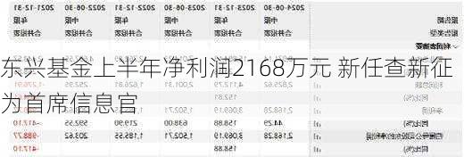 东兴基金上半年净利润2168万元 新任查新征为首席信息官