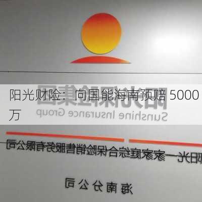 阳光财险：向国能海南预赔 5000 万