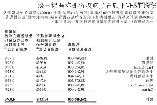 淡马锡据称即将收购黑石旗下VFS的股份