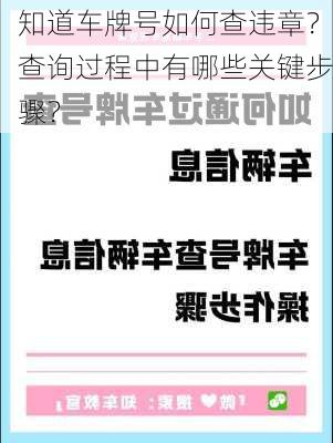 知道车牌号如何查违章？查询过程中有哪些关键步骤？