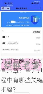 知道车牌号如何查违章？查询过程中有哪些关键步骤？