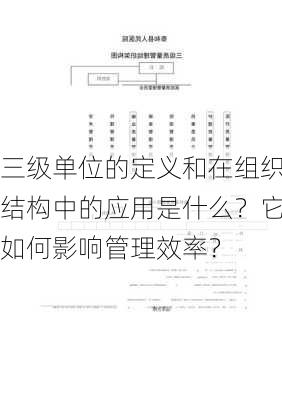 三级单位的定义和在组织结构中的应用是什么？它如何影响管理效率？