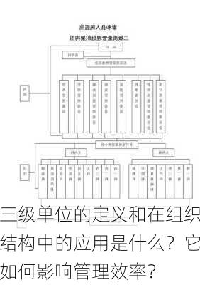 三级单位的定义和在组织结构中的应用是什么？它如何影响管理效率？