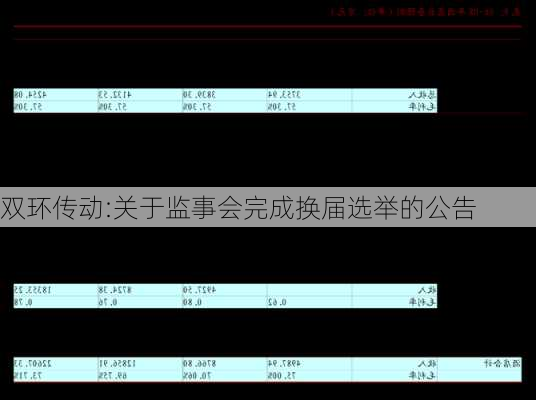 双环传动:关于监事会完成换届选举的公告