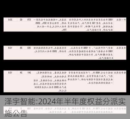 泽宇智能:2024年半年度权益分派实施公告