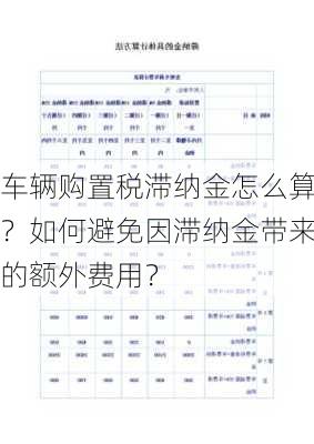 车辆购置税滞纳金怎么算？如何避免因滞纳金带来的额外费用？