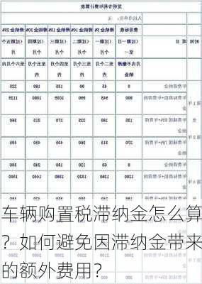 车辆购置税滞纳金怎么算？如何避免因滞纳金带来的额外费用？