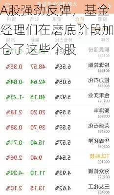 A股强劲反弹，基金经理们在磨底阶段加仓了这些个股