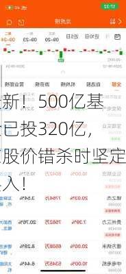 最新！500亿基金已投320亿，在股价错杀时坚定买入！