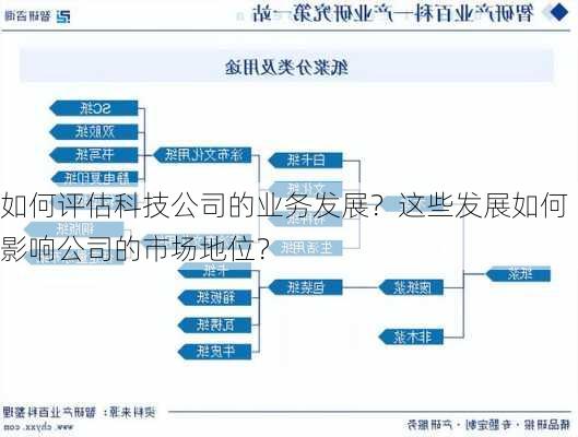 如何评估科技公司的业务发展？这些发展如何影响公司的市场地位？