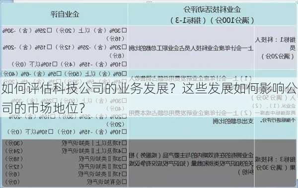 如何评估科技公司的业务发展？这些发展如何影响公司的市场地位？