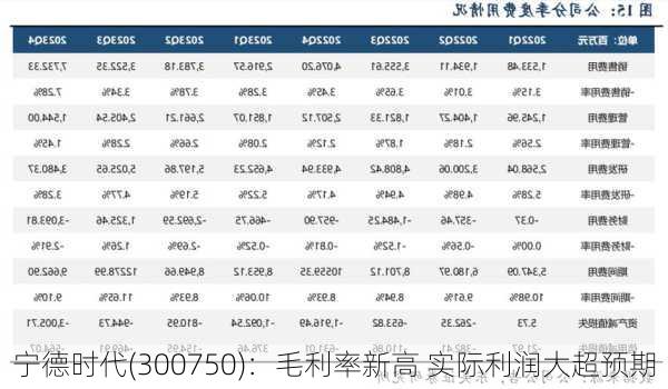 宁德时代(300750)：毛利率新高 实际利润大超预期