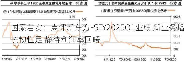 国泰君安：点评新东方-SFY2025Q1业绩 新业务增长韧性足 静待利润率回暖