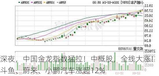 深夜，中国金龙指数猛拉！中概股，全线大涨！斗鱼、蔚来、小鹏汽车涨超12%