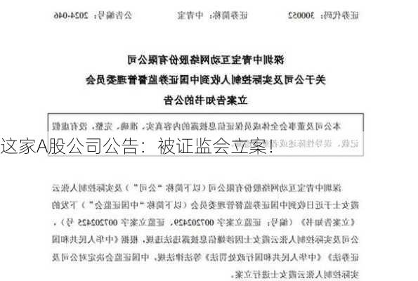 这家A股公司公告：被证监会立案！