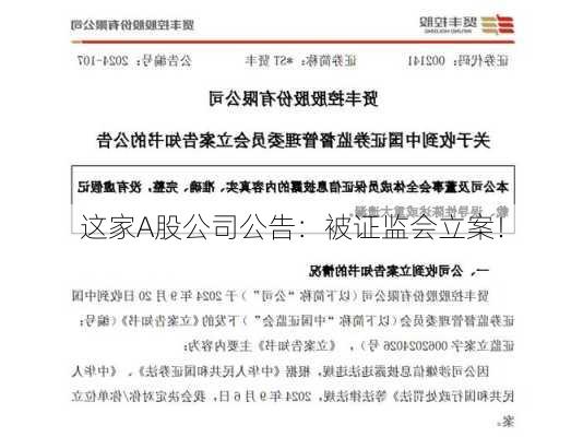 这家A股公司公告：被证监会立案！