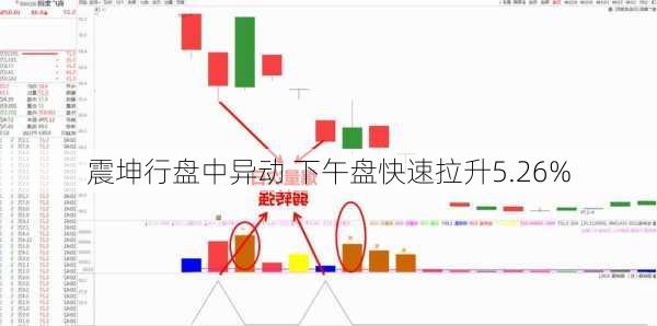 震坤行盘中异动 下午盘快速拉升5.26%