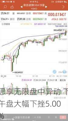 思享无限盘中异动 下午盘大幅下挫5.00%