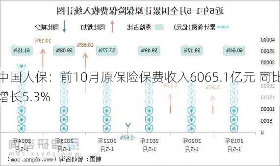 中国人保：前10月原保险保费收入6065.1亿元 同比增长5.3%