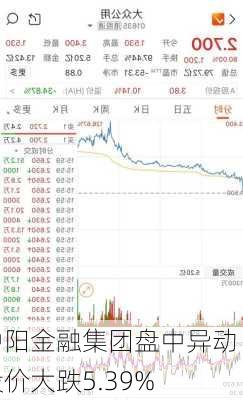 中阳金融集团盘中异动 股价大跌5.39%