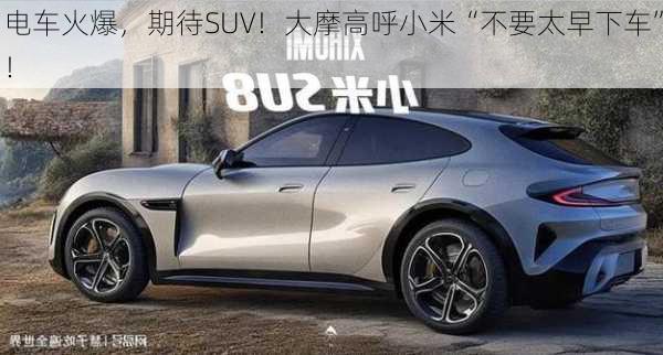 电车火爆，期待SUV！大摩高呼小米“不要太早下车”！